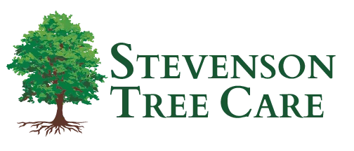 Stevenson Tree Care Logo